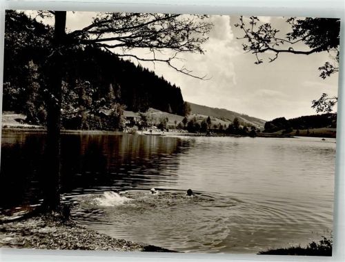Großholzleute Schwimmbad Waldseee Hengelesweiher