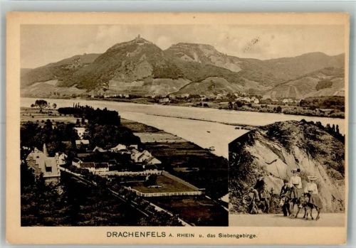 Drachenfels 1912 Burgruine im Siebengebirge Esel