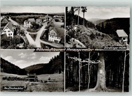Herzogsweiler Gasthaus Nördlinger Hütte Zinsbachtal