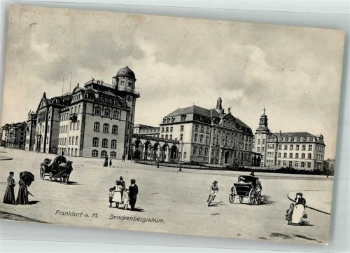 Frankfurt 1907 Senckenbergianum Senckenberg Gesellschaft für Naturforschung