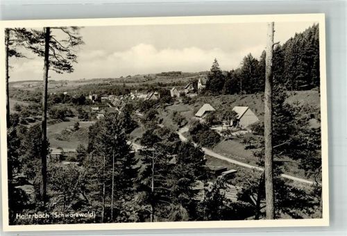 Haiterbach