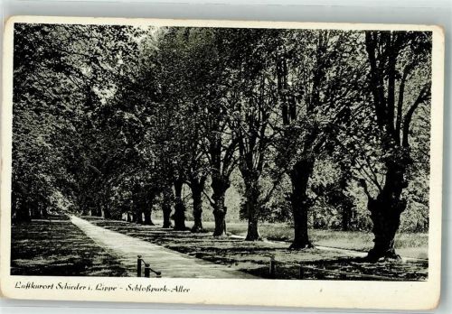 Schieder Schlosspark - Allee
