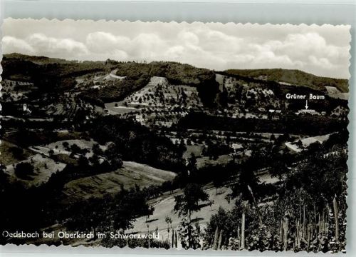 Oedsbach Panorama des Ortes mit Gasthaus Pension Zum grünen Baum