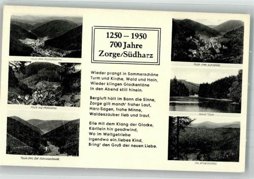 Zorge Panorama des Ortes Mittelzorge Neuer Teich Wolfsbachtal Heimatgedicht Verlag Thoericht 19306