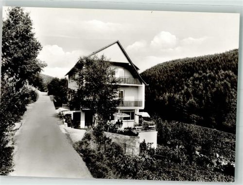 Willingen Pension Haus Waldfrieden Bergstraße 12 Fotograf Werner