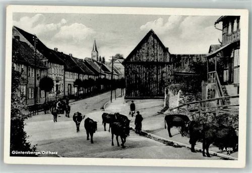 06507 O4301 Güntersberge Foto AK