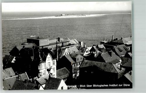Helgoland Biologisches Institiut Düne Foto Original aus Archiv eines Ansichtskartenverlages