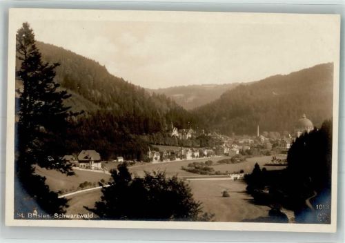 St. Blasien Panorama des Ortes mit Dom St. Blasius Verlag Weißenberger