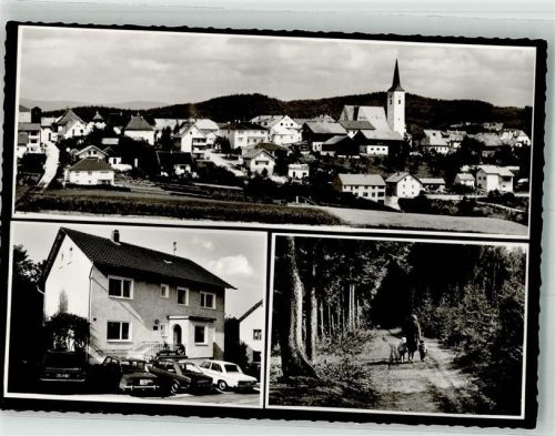 Eging Pension Haus zum Walde Panorama des Ortes mit Kirche St. Ägidius
