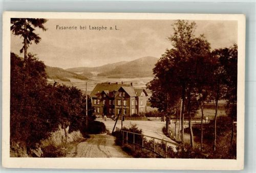Bad Laasphe Hotel Fasanerie