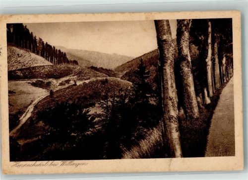 Willingen 1925 Hoppecketal