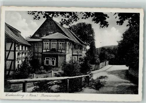 Liebenburg Theresienstift