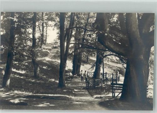 Dannenfels Krankenhaus Kastanienwald Foto Original aus Archiv eines Ansichtskartenverlages
