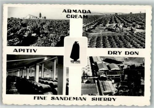 Porto Sandeman Vineyards u. Bodegas