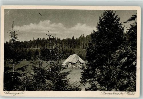 Schönwald Bauernhaus