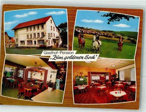 Abtsteinach Gasthaus Pension Zum goldenen Bock Pferde