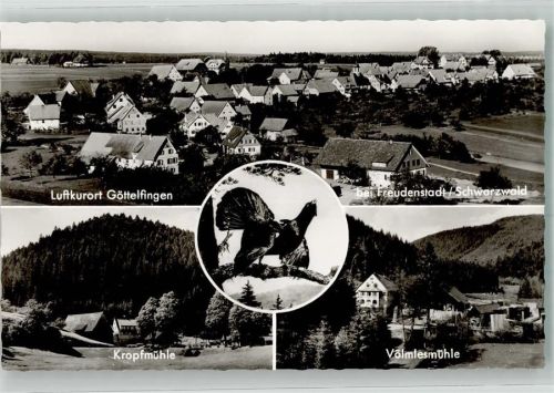 Göttelfingen Gasthaus Völmlesmühle Kropfmühle Auerhahn