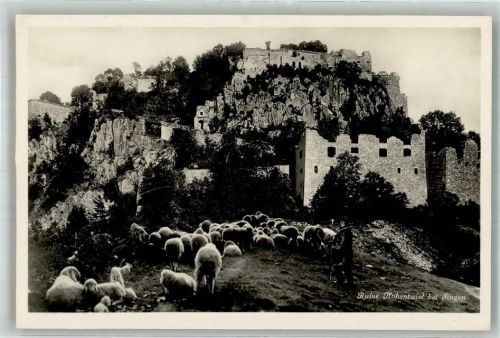 Hohentwiel Schäfer mit seiner Herde unterhalb der Burgruine Edition Photoglob 5272