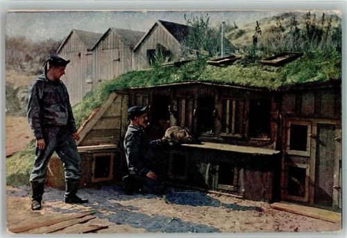 1921 Deutsche Marineinfanteristen mit einer Kaninchenfarm in den Dünen von Flandern