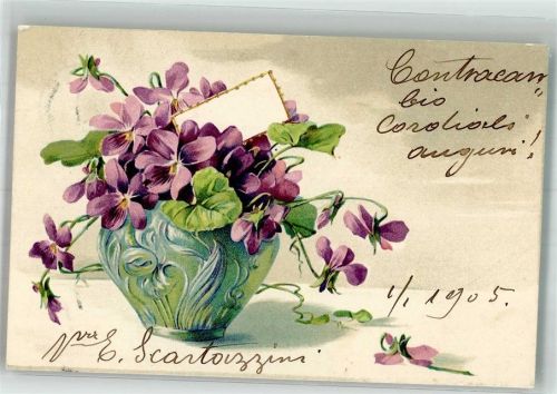 1905 Veilchen