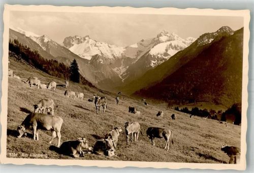 Oberstdorf Kühberg Kuhherde
