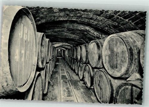 San Sadurni de Noya Casa Codorniu Weinfässer Lager Bodega Weinreifung