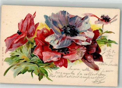 1902 Klatschmohn Serie N. F. No. 715