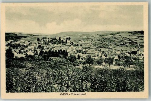 Daun Panorama des Ortes mit Burg Daun