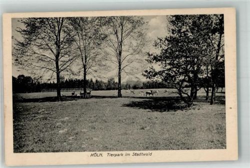 Köln Lindenthal 303 1918 Tierpark im Stadtwald