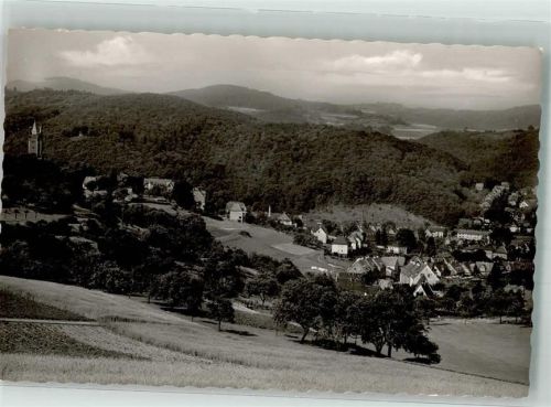 Dillenburg Panorama des Ortes mit dem Wilhelmsturm Notopfermarke