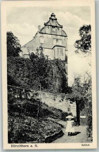 Hirschhorn Schloss