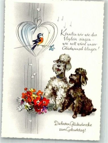 Ein weißer und ein brauner Pudel Blumen Vogel Geburtstag HACO Nr. 5408