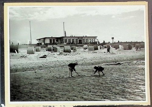 Döse Foto montiert auf Karton Am Steinmacher Strand