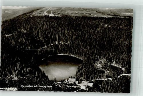 Mummelsee Fliegeraufnahme vom Berghotel Mummelsee mit Hornisgrinde