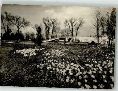 Köln Deutz 105 Bundesgartenschau 1957 Aufgang zum Parkgasthaus