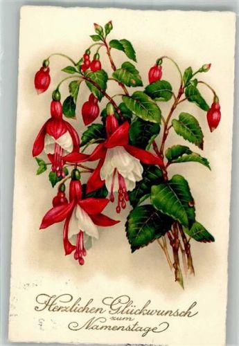 Glückwunsch Fuchsien Cellaro