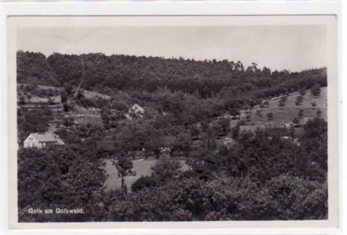 Golk am Golkwald mit Gesamtansicht gelaufen von 1933. Starker Stempeldurchdruck, sonst gut erhalten.