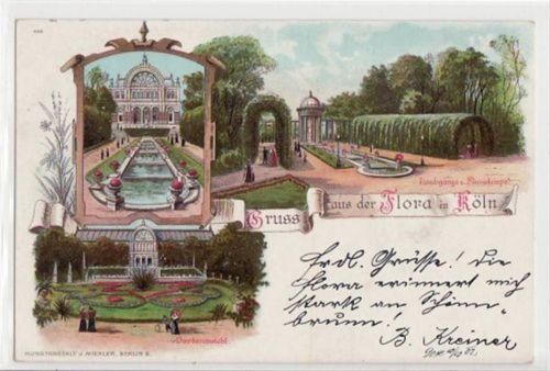 Köln Stadt Köln, Lithographie mit 3 Abbildungen der Flora. Karte beschrieben. Gute Erhaltung.