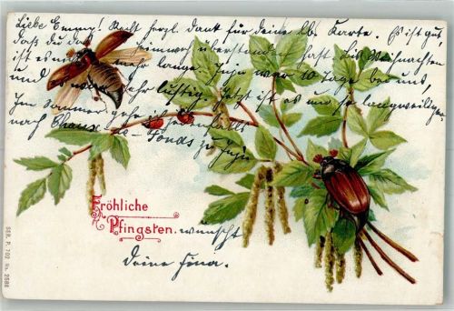 1904 Maikäfer Marienkäfer Ser. P. 702 No. 2588