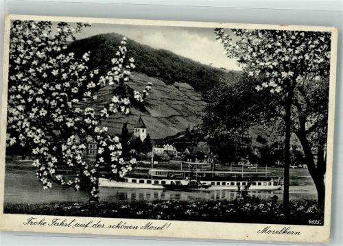 Moselkern Auf der Mosel