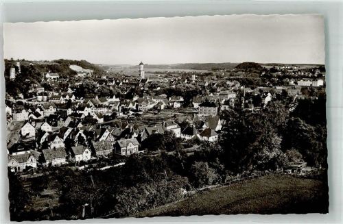 Biberach Panorama des Ortes mit der Stadtpfarrkirche St. Martin