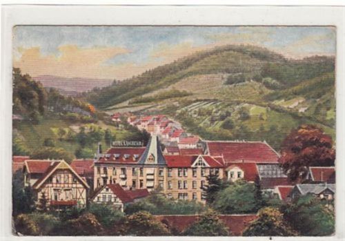 Bad Lauterberg Bad Lauterberg, Künstlerkarte. Teilansicht mit Hotel. Karte beschrieben. leichte Abschürfungen, leicht fleckig, sonst gut erhalten