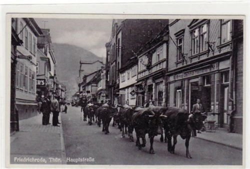 Friedrichroda Fotokarte von Friedrichroda i. Thür. Hauptstraße mit Kühen ungelaufen Top Erhaltung.