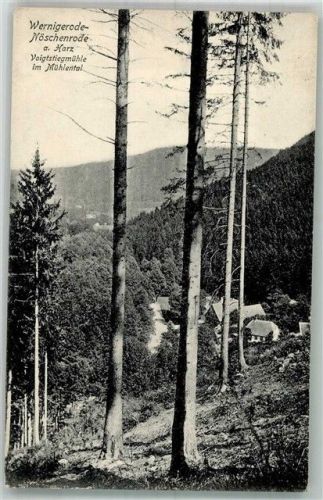 Nöschenrode Voigtstiegmühle im Mühlental