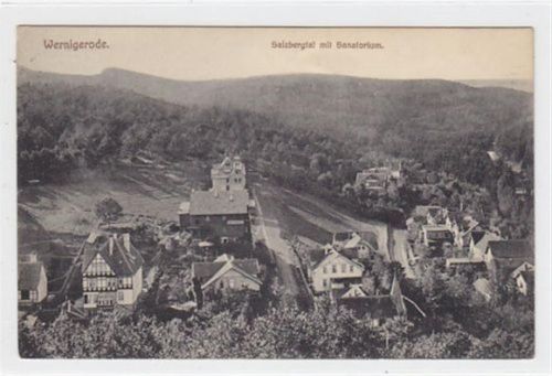 Wernigerode. Salzbergtal mit Sanatorium gelaufen, Marke entfernt, handschriftliches Datum von 1929. Leichte Abrißspur wo die Marke war, leichter Bug oben in der Mitte, sonst gut erhalten