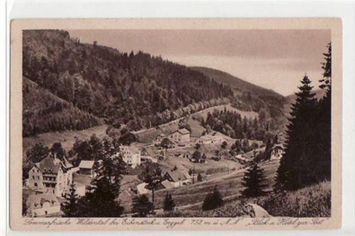 Wildental bei Eibenstock mit Blick auf Hotel zur Post ungelaufen Gute Erhaltung.