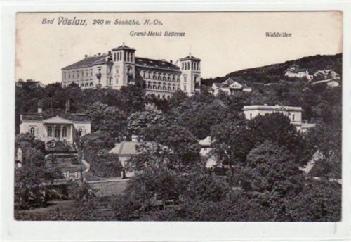 AK von Bad Vöslau. Grand - Hotel Bellevue und Waldvillen gelaufen am 29.01.1921. Leichte bräunliche FlEcke n auf der Vorder- und Rückseite, leichter Bug oben links, leichter Bug an der rechten Seite, sonst gut erhalten.