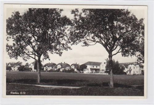 Fotokarte von Riedau. Teilansicht. Ungeaufen. Leicht stockfleckig, sonst gut erhalten.