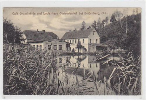 Café Grundmühle und Logierhaus Gertrudenhof bei Seidenberg O.L. - Zawidów / Kreis Lauban - Luban. 1915 Feldpost Gute Erhaltung.