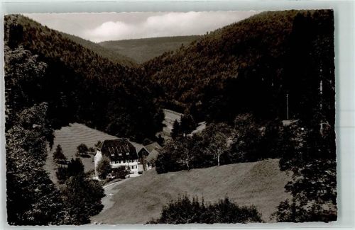 75399 W7267 Unterreichenbach , Kr Calw - Untere Karpfenhardte Mühle